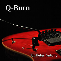 q-burn_1737731591